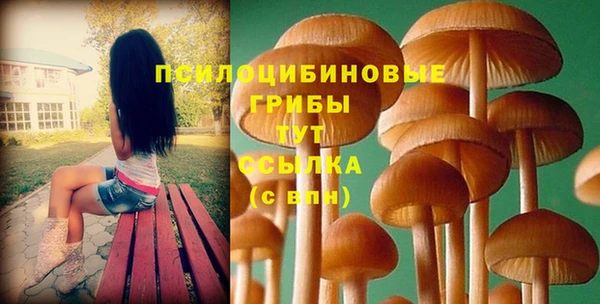 mdpv Кукмор